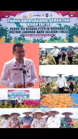 Bapak Bupati Labusel Bang Fery Sahputra Simatupang memimpin langsung panen raya jagung serentak tahap III di areal Sei Kebara, PTPN IV Regional 1 Distrik Labusel, Kamis  4 September 2025. Panen seluas lima hektare ini menghasilkan kurang lebih 20 ton jagung. Kegiatan tersebut turut dihadiri Kapolres Labusel AKBP Aditya SP Sembiring, Manajer PTPN IV Regional 1 Yuda Iskandar, Asisten Perekonomian Ir. Ralikul Rahman, serta sejumlah kepala dinas, pejabat daerah, dan undangan lainnya. Bapak Bupati LabuseL Bang Fery Sahputra Simatupang juga mengajak perusahaan-perusahaan lain di wilayah Labusel untuk ikut berkolaborasi mendukung program Presiden Prabowo Subianto dalam mewujudkan kedaulatan pangan. #Bang_Fery_Syahdian #Pemimpin_Kebanggaan_Masyarakat #LabuseL_Kampung_Kita #Kita_Bangun_Kita_Jaga_Kita_Rawat