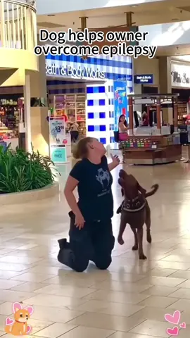 When the owner fell to the ground due to epilepsy, the dog's reaction was touching:it doesn't understand the difference, it. just knows that it can't lose you 💕 #seizure #health #tiktok 