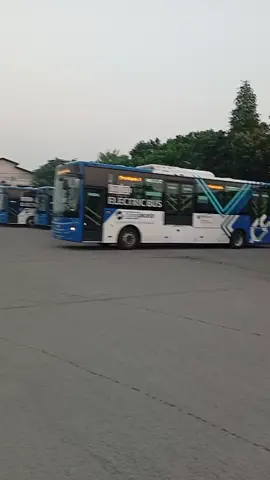 ** Terpantau TRAJA ARTYS, 364 ' Pramudi  WIWID PRASETYO ***#fypシ゚viral 