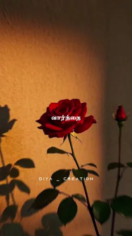 PART 358|🥰🥰பெண்ணே உந்தன் கொலுசு எந்தன் மனச மாட்டி போகுதே🥰🥰 #tamilsong #lovefailure #tamilwhatsappstatus #tamillovesongs #lovesong # Diya Creation