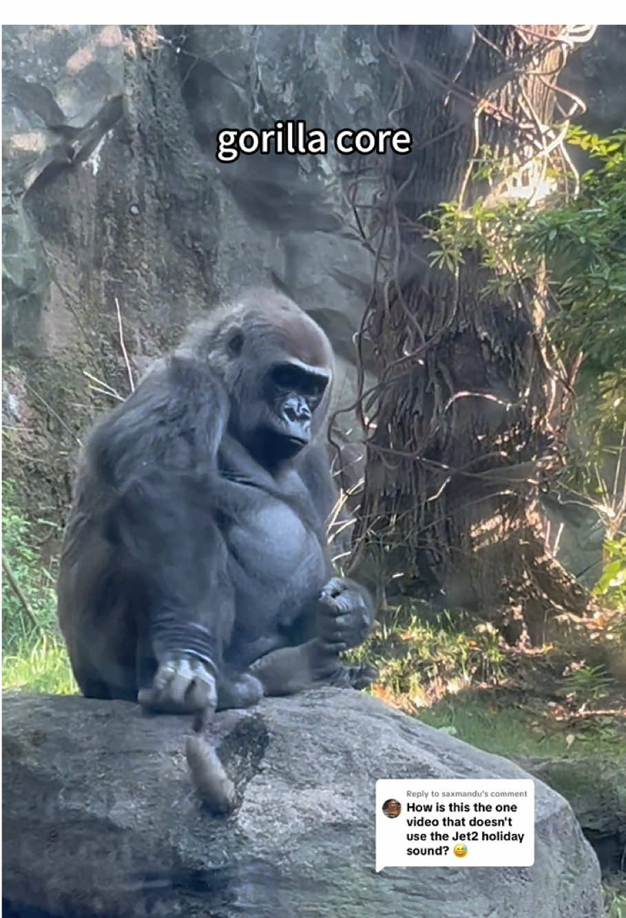 Gorilla core.#gorilla #funny #fyp #foryou #animals