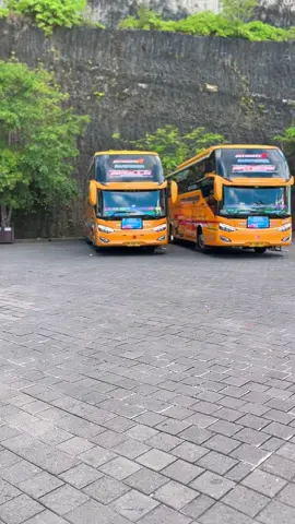 #CapCut #primaputratrans #laksanakaroseri #videobus #piknikasik 