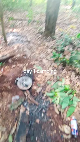 ketemu kang baso di hutan coy😭😭😭 #foryoupage #fyppppppppppppppppppppppp #camping #kemah 