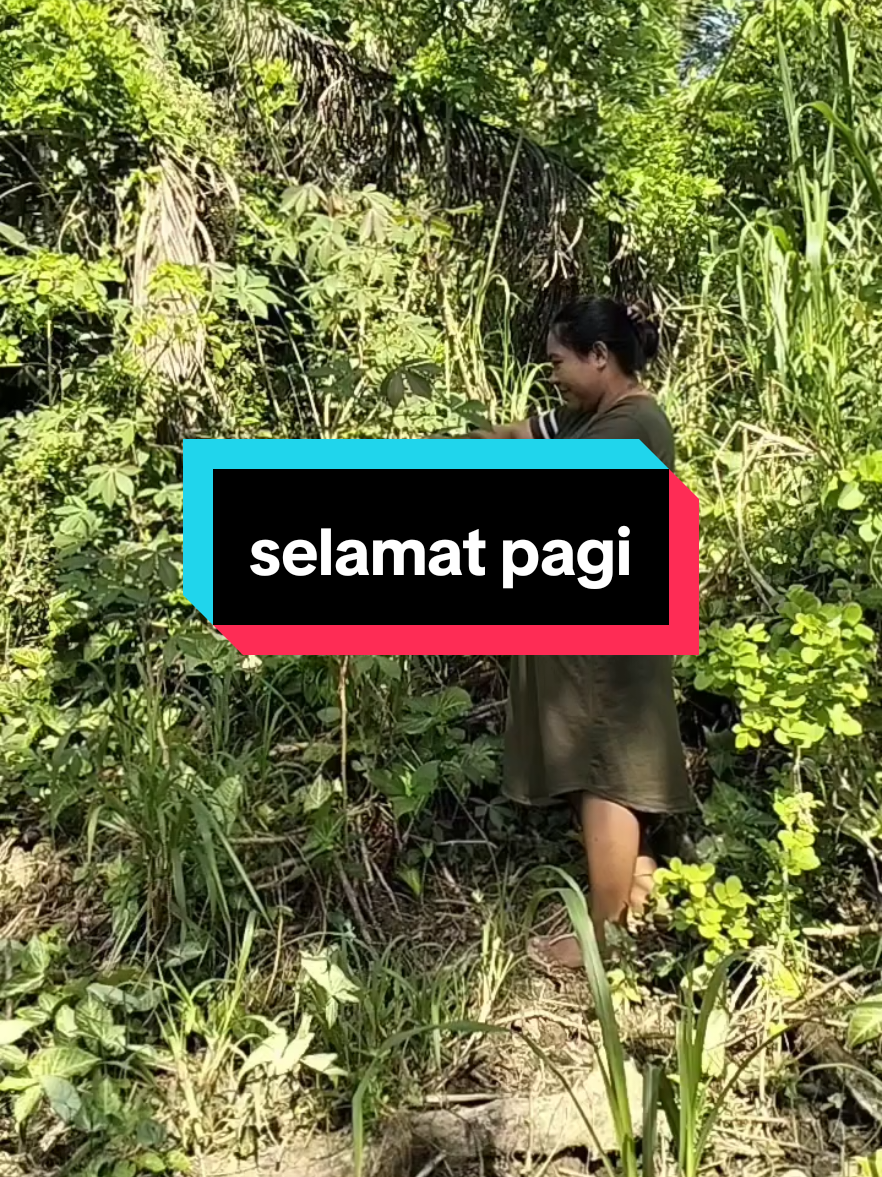 cari sayur daun ubi #kontenkesehariandirumah #fyppppppppppppppppppppppp 