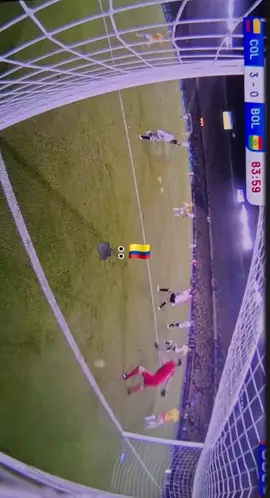 🇨🇴¡Colombia en el mundial!🇨🇴                      💛💙❤️ #seleccioncolombia #paratii #fyp #🇨🇴colombia🇨🇴 #mundial 
