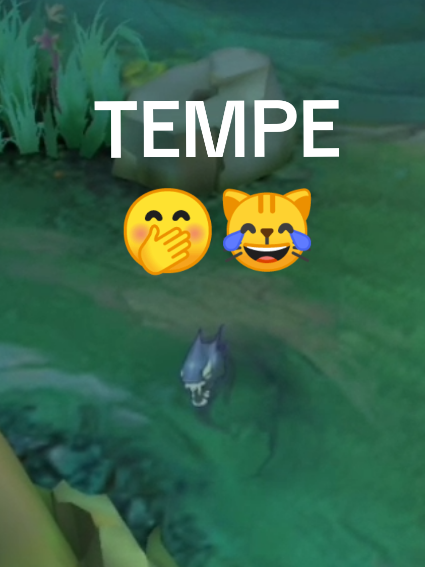 TEMPEE🤭😹 #mobilelegends #mlbb #mememlbb #rdyp #fyp 