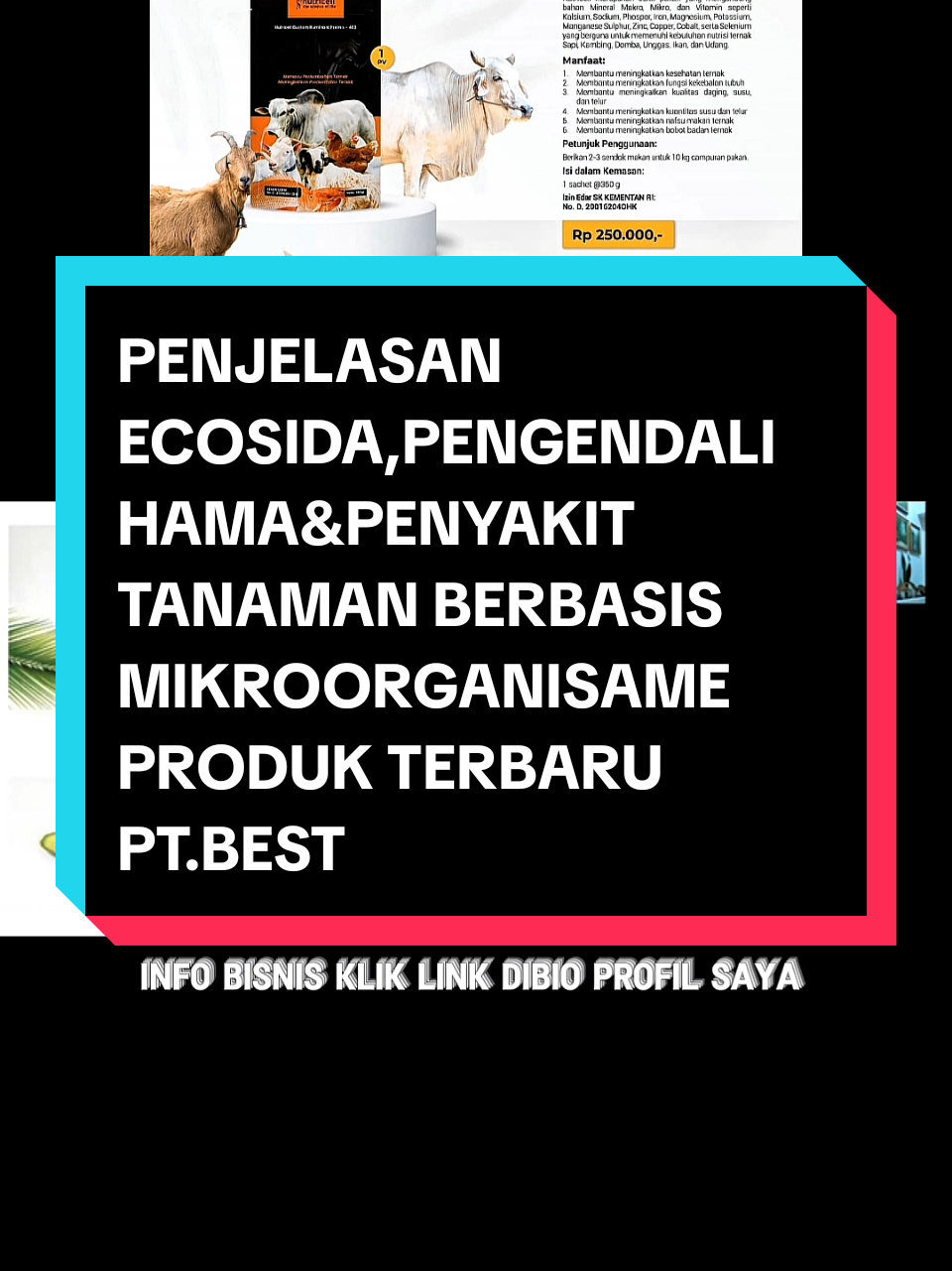 PENJELASAN ECOSIDA,PENGENDALI HAMA&PENYAKIT TANAMAN BERBASIS MIKROORGANISAME PRODUK TERBARU PT.BEST #penjelasan #ecosida #pengendalihama #tanaman #produkptbest 