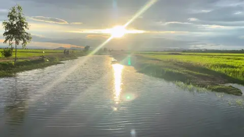 #ទេសភាពស្រុកស្រែ🌄🏜️🌱🌼🌾🐟 #ផុសអត់អ្នក__like🙃 #ស្រុកទ្រាំង❤️ខេត្តតាកែវផ្ទះខ្ងុំ🙂 #foryou #បាត់អ្នកឲបេះដូងអស់ហើយ #នាទីធ្លាក់like💔🙃 #zxycba #foryoupage 