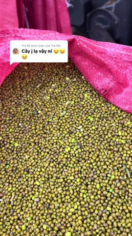 Trả lời @Trà My co lạ ko a