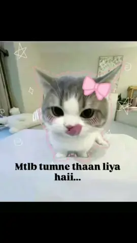 I'm naraz😾👊🏻 #fowllowers💕💕💕10k  #viral_tiktok_video_foryou  #attitude ._.queen4 #foryoupage_trick🥰🤩♥️ 