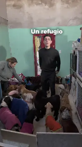 ¡Construimos un refugio para perritos que nosotros los humanos tratamos mal! 🥺