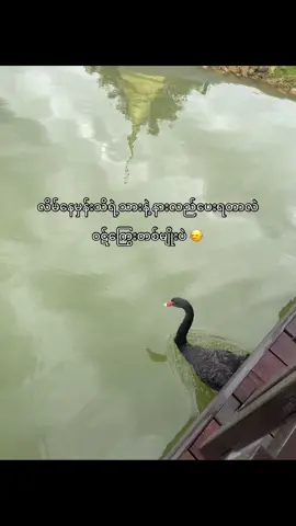 ရင်ထဲတော့နည်း”အောင့်တယ်#fypシ゚ #viewsproblem #flopada #crdစာသား 