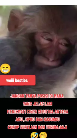 POSISI now ngantok🥱 JOm jOm ☕☕  mOrnikk Semua shbt kesayangan IshA 🥰  #Isha🎀 🩷  #sekadarhiburan  #fypシ゚viral🖤  #fypシ゚ 