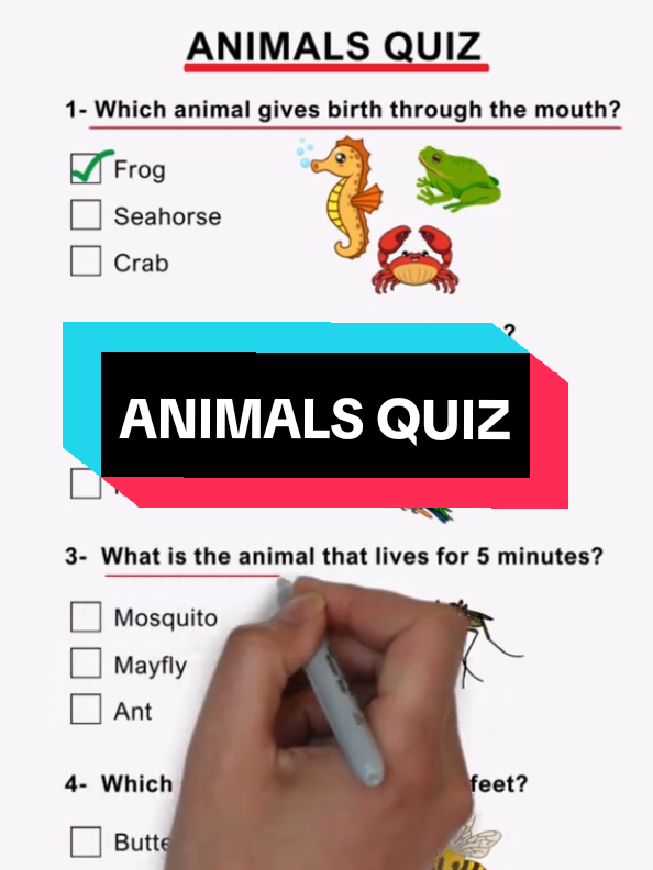 ANIMALS QUIZ! can you get 7/7? #quiz #quiztime #animal #knowledge 