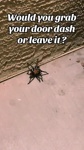 Would you grab your door dash or leave it 