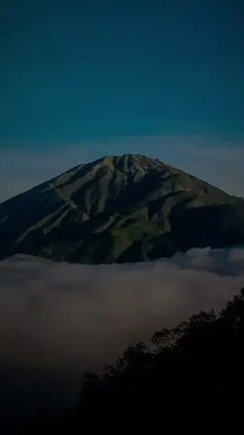 surah AS sajdah