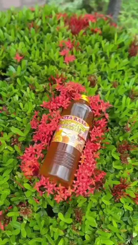 ✨ Segarnyo Kalamansi, Aslinyo Bengkulu! 🍊 Rasain kesegaran alami yang cuma ada di buah khas Bengkulu. Tugas Promosi Bahasa Indonesia (Kelompok 4) : 1. Aisyah Dwi Aprila 2. Ari Syahfitra 3. Athifa Zakiyah Putri 4. Brian Fanolo Gea 5. Cherry Erica 6. Jihan Fiorenza Ramadhani 7. Kirania Devika Kalyani A. 8. Muhammad Azzam Fathin@Rossy Official #videopromosipanganlokal #panganlokalindonesia #panganlokalbengkulu #galerismanli2025 #fyp 