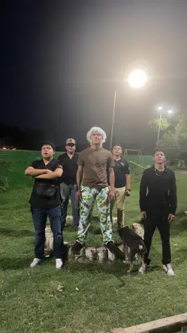 El perro fue un actor pagado