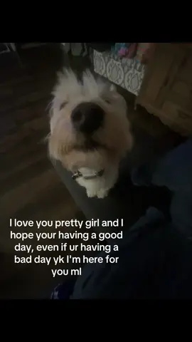 I love you babyyyy #relatable #Relationship #couple #foryoupage #xyzbca #goviral #blowthisuptiktok #makemefamous #repostt #ilovemygf #typ #thinkofhersomuch #crush #repostsforher #foryou #trending #Love #fyp #cute #dog 