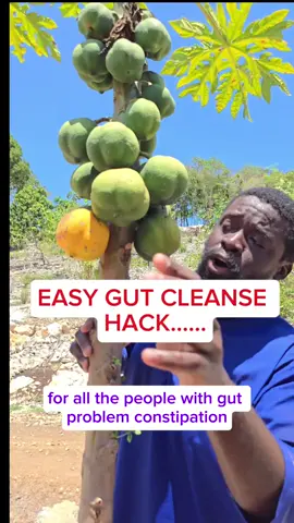 Have you tried ripe papaya fruit #PapayaForGutHealth #GutHealing #NaturalDigestion #HerbalRemedy #HealingFoods #DigestiveHealth #BloatingRelief #ConstipationRelief #PapayaBenefits #HolisticHealth