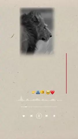 #creatorsearchinsights #تاجیک_هزاره_ازبک_پشتون_ترکمن🇦🇫 