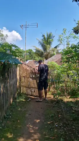 Cuaca cerah di pedesaan #pelosokcianjur 