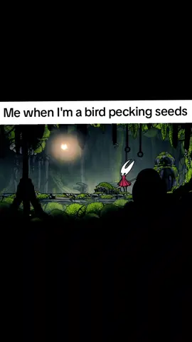 I'm having a normal time with this game - - - - - #hollowknight #silksong #silkposting #hollowknightsilksong 
