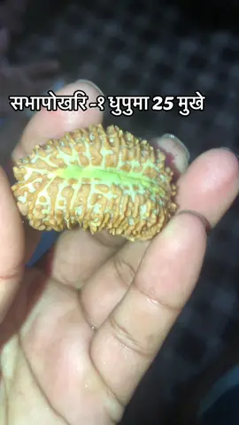 #dhupoo_dake_savapokhari_sankhuwasava #viralvideo 
