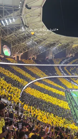 جده كلها صفراء 💛🖤#CapCut #مالي_خلق_احط_هاشتاقات🧢 #الشعب_الصيني_ماله_حل😂😂 