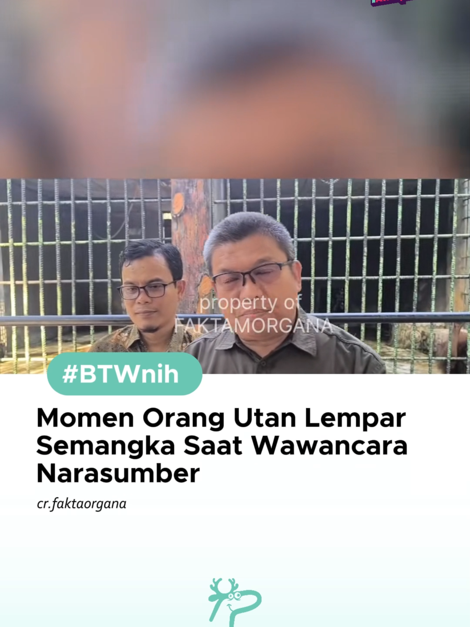 Ngalangin aja.. Momen serius mendadak jadi kocak ketika seekor orang utan tiba-tiba melempar semangka tepat saat wawancara berlangsung. Netizen pun ngakak melihat ekspresi kaget narasumber yang jadi sasaran lemparan dadakan ini! #BTWnih #Trendingtainment #fyp #fypreels #viral