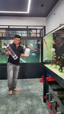 Purigen Seachem và lò đảo#purigen #seachem #tuipurigen #lodaopurigen 