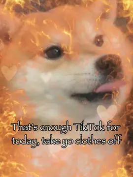 That’s enough for today 😉#rizz #dogtok #relatable #fyp 
