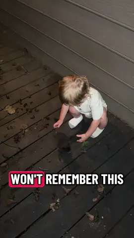 Helping mommy take care of the kitties #kitten #for #MomsofTikTok #georgia 