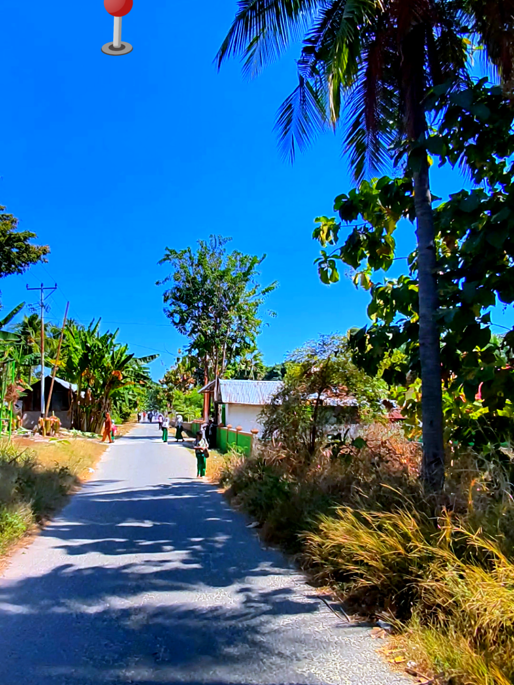 Trip perjalanan menjelajahi pelosok negeri pulau Pantar #videography #fyp #viral #trip #adventure 