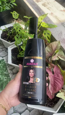 Tóc bạc không cần lo lắng đã có lược gội phủ bạc avatar tóc đen mượt tự nhiên chỉ 10 phút tại nhà #luocgoiphubac #avatar #nhuomtoctainha #tocbac #hoaithureview  @Hoài Thu Review  @Hoài Thu Review  @Hoài Thu Review 