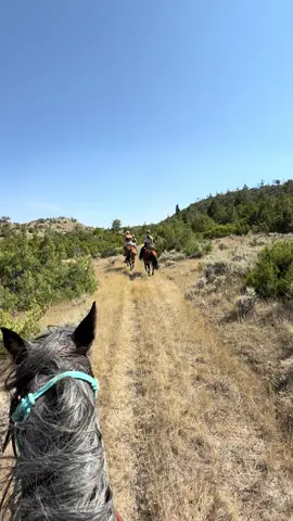 YEEHAWWWWW #montana #406 #riding #loping #speed #horses #aqha #qh #quarterhorse