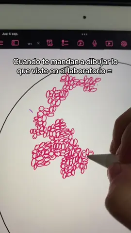 Suéltenme gram negativas #universidad #ciencia #fyppppppppppppppppppppppp #chile 