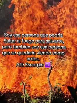 también sería esa persona que te arrojaria al fuego.🫠#escorpio #zignoszodiacales #enparati #viral #escorpiana 