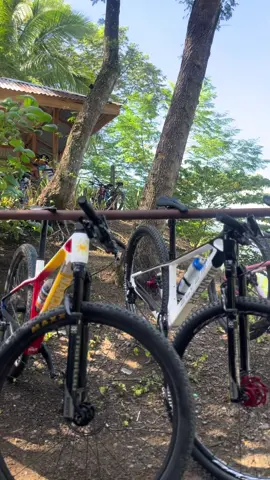 #elvesphilippines #SAKURA #fyppppppppppppppppppppppp #teamect #teammwapbikeshop 
