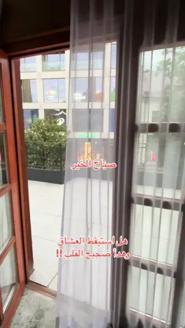 #بولندا🇵🇱 @بنت ضيعة مكة  @بنت ضيعة مكة 