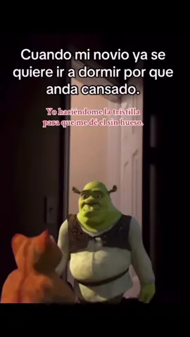 #viral #seguidores 