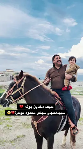 💔💔💔🥺🥺#الكوجر #كوجر #qasrok #قسروك🦋 #دهوك_duhok 