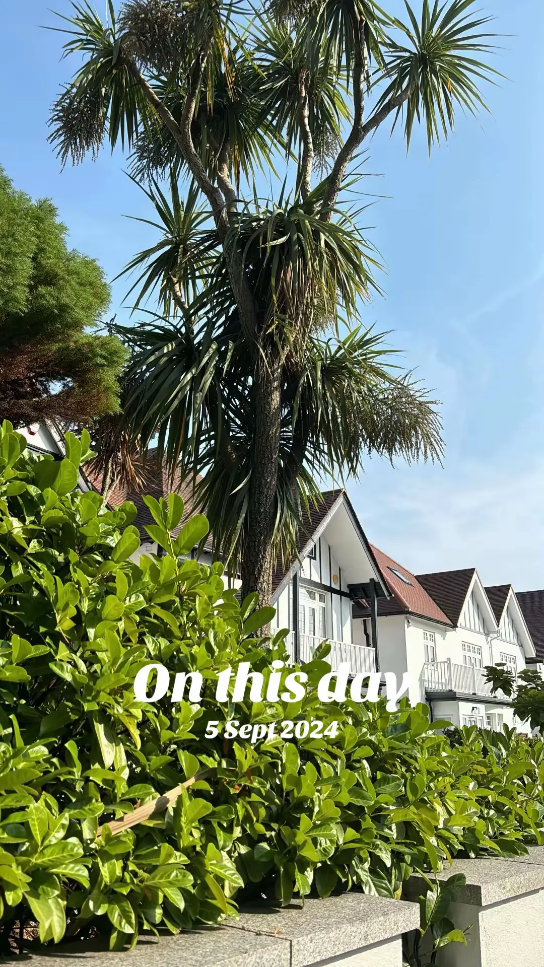 #onthisday 