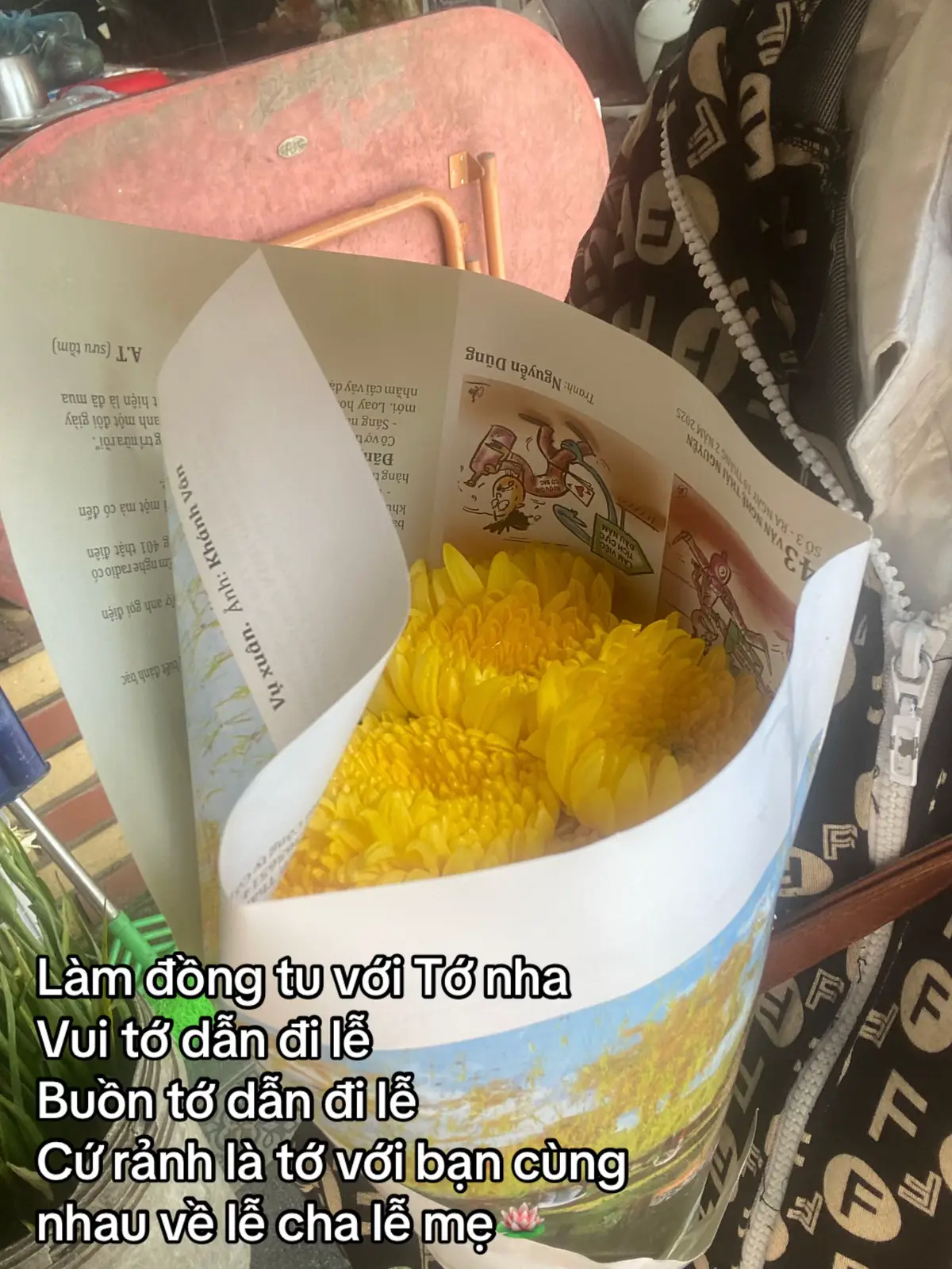 #xuhuong #tamphucongdongtuphuvanlinh #tamlinhhuyenbi #haudongvedeptamlinhvietnam #tiktok 