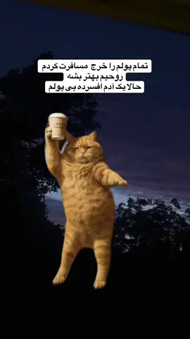 #funnyvideos 