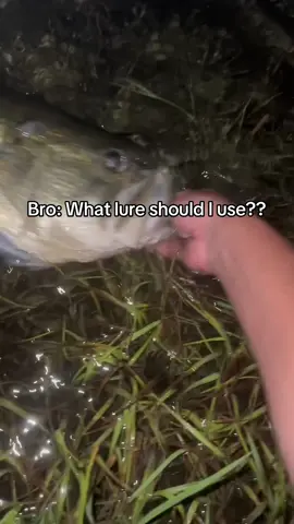 Pick the best fishing lure everytime 🤫 #fishing #fishinglures #fishingtips 