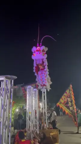 ĐOÀN LÂN SƯ RỒNG HAI THẾ HỆ SƠN HÀ  – NHẬN ĐẶT SHOW MÚA LÂN 2025 🎉🐲.                           Còn gì tuyệt vời hơn khi đêm hội trăng rằm năm nay có những màn múa Lân – Sư – Rồng rộn ràng, tiếng trống dồn dập, mang đến không khí náo nhiệt và niềm vui cho bà con.                                               👶🥰🐲Nhận show: Trung thu tại trường học, cơ quan, tư gia, sự kiện thiếu nhi….                                          lịch ngay để kịp mùa trăng đẹp nhất:                                                                                                                   💥 Lịch diễn Trung thu đang kín nhanh, quý khách đặt sớm để giữ khung giờ đẹp nhé! #lansurong #mualan #trungthu #quangngai #76quangngai 