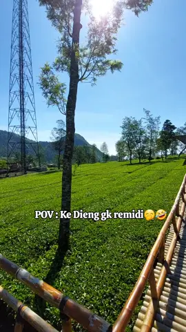 Hari kedua di Dieng, aman gk remidi🤣 Langitnya biru cerah benar2 spt langit di luar negeri. Udara segar dingin bgt #Dieng #kebuntehtambi #kebunteh #wonosobo #banjarnegara 
