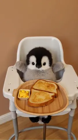 Do you like toast? #adorable #pet #pets #creative #ai #new #funny #fun #cute #interesting #penguin #healing #cuteness 