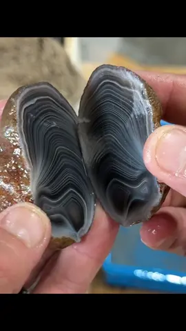 This agate has TOO many bands! #agatedad #agate #bands
